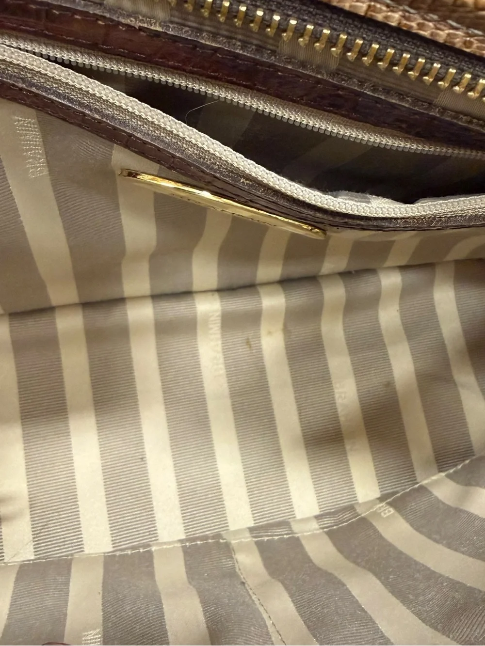 Brahmin structured croc
